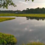 Top 5 Epic Cape Cod Hiking Trails 1