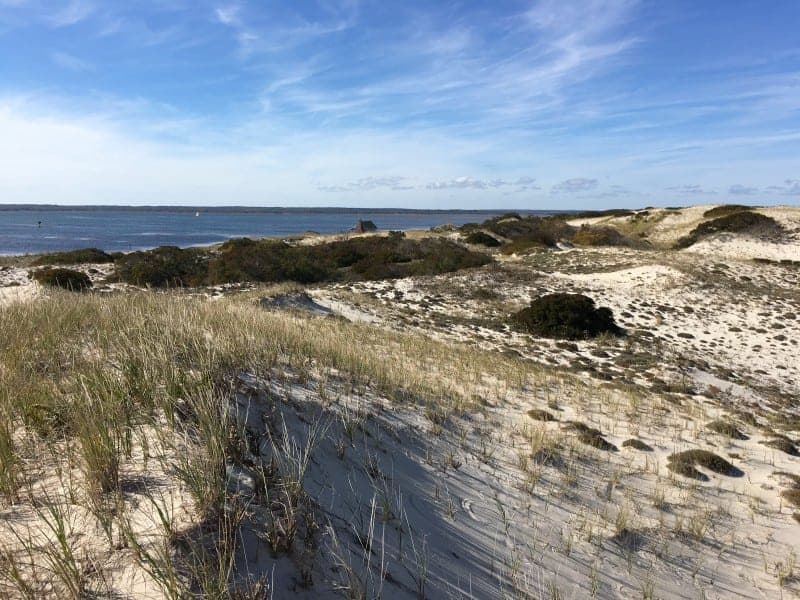 Randonnées épiques à Cape Cod