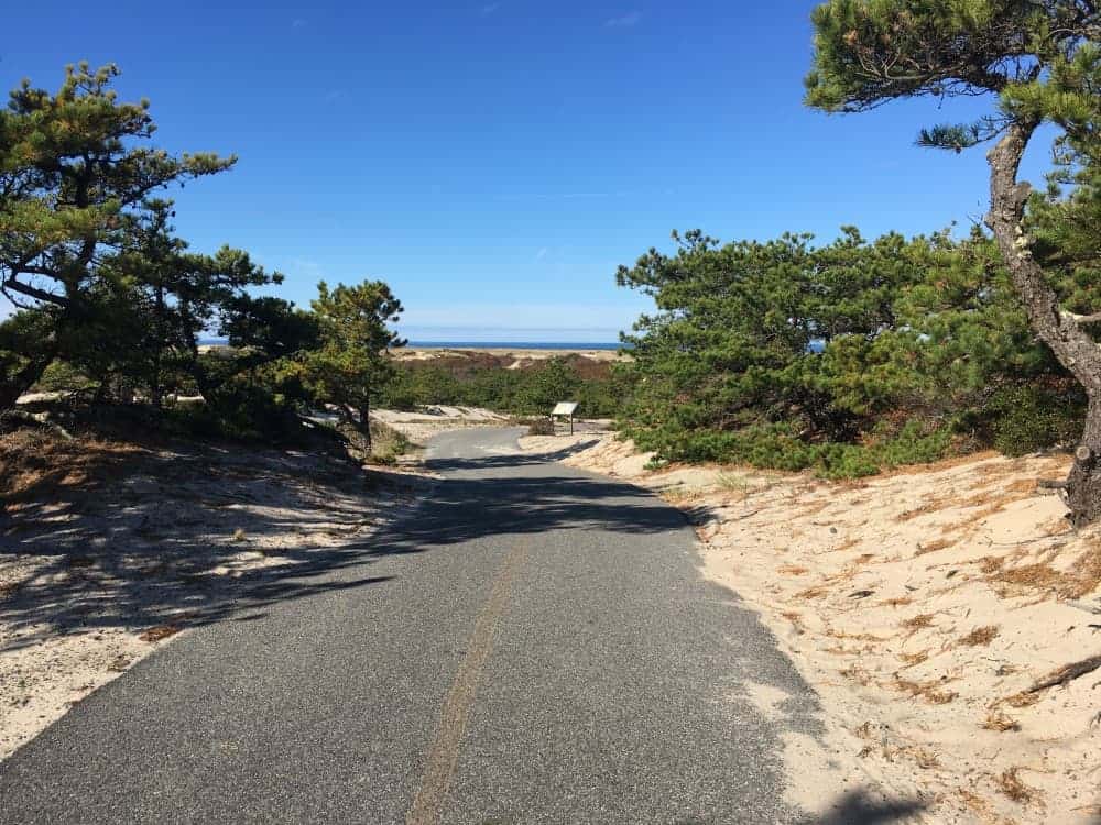 Things to do in Provincetown - The Platinum Pebble Boutique Inn