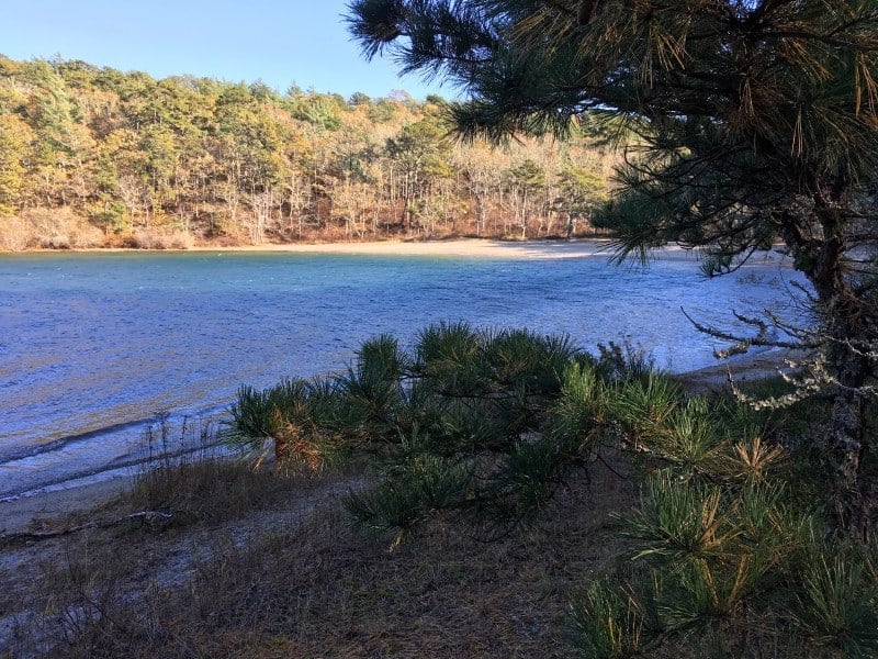 Hoyos de natación de Cape Cod