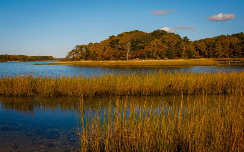 Enjoy beautiful fall scenery and plenty of things to do in Cape Cod this fall