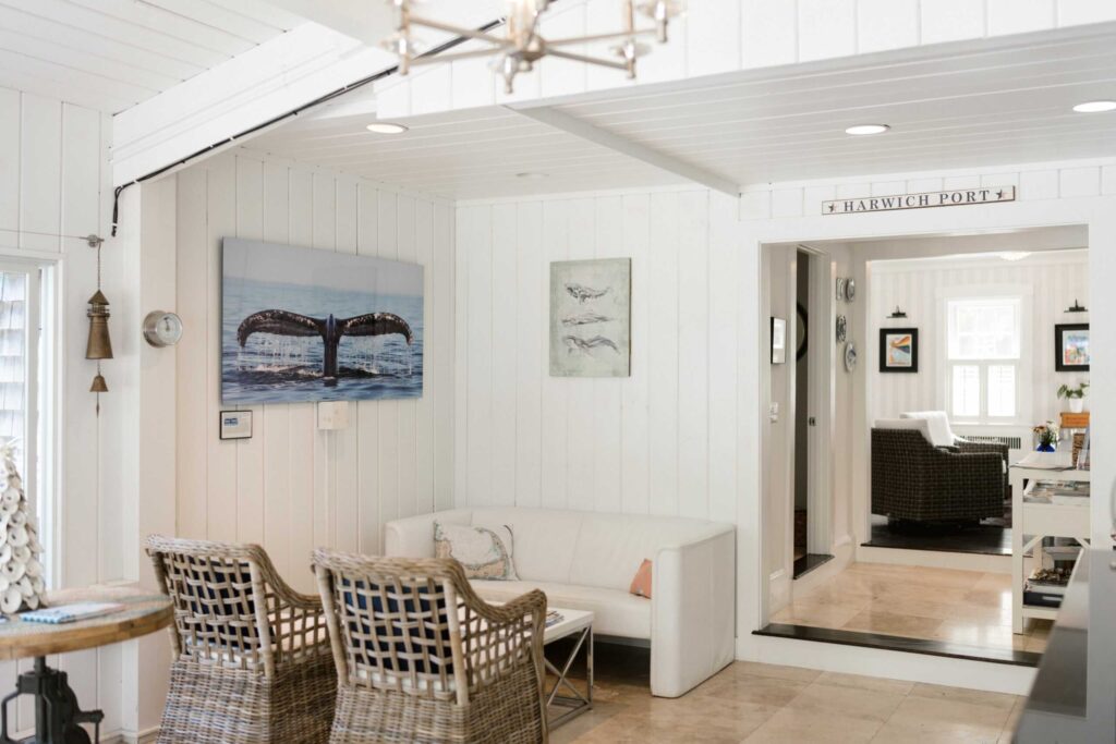 How to Enjoy Whale Watching on Cape Cod This Year 4