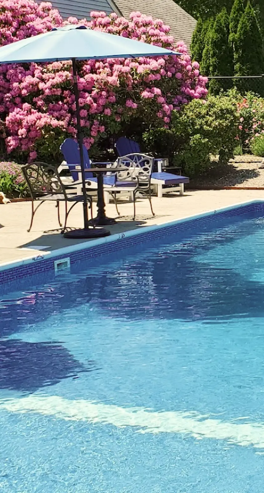 Amenities & Concierge 2