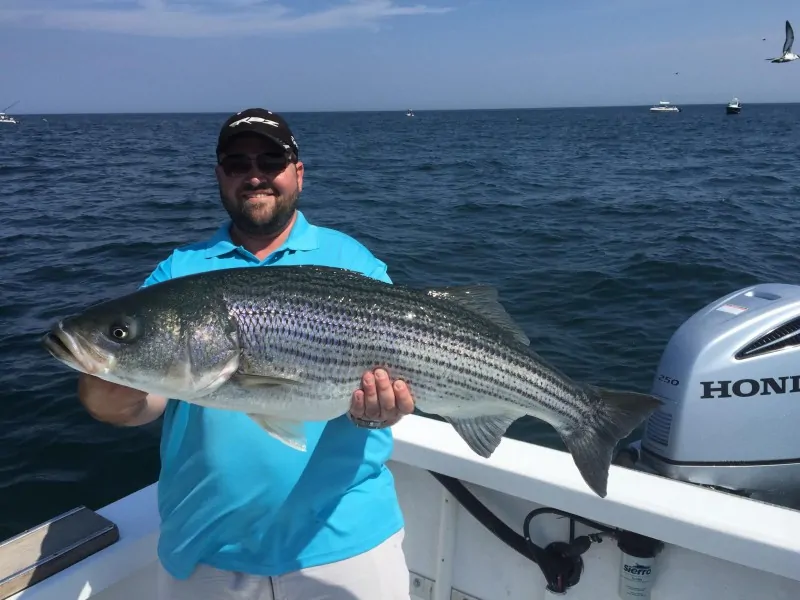 Chatham Fishing Charters