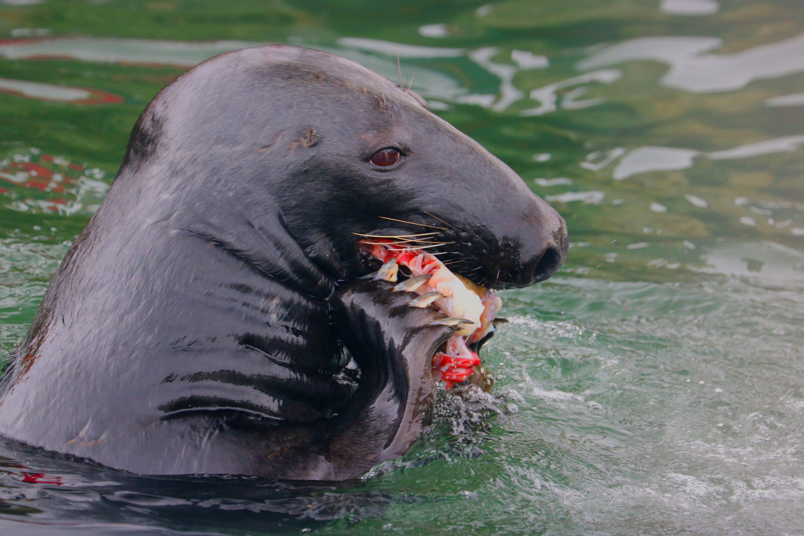 Cape Cod Experiences 3