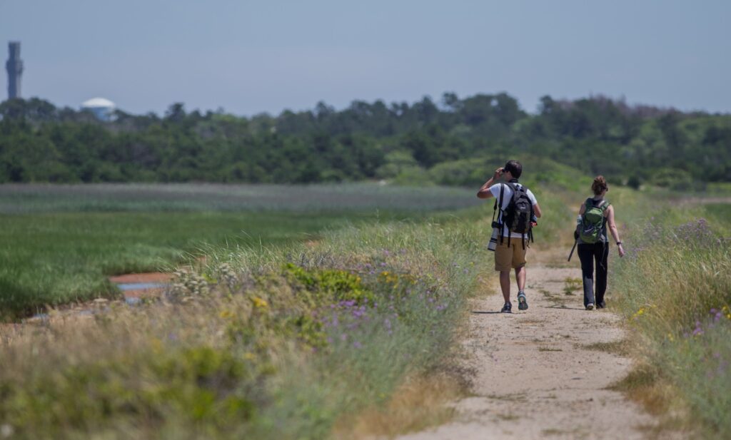 Hike the Great Island Trail on Cape Cod.