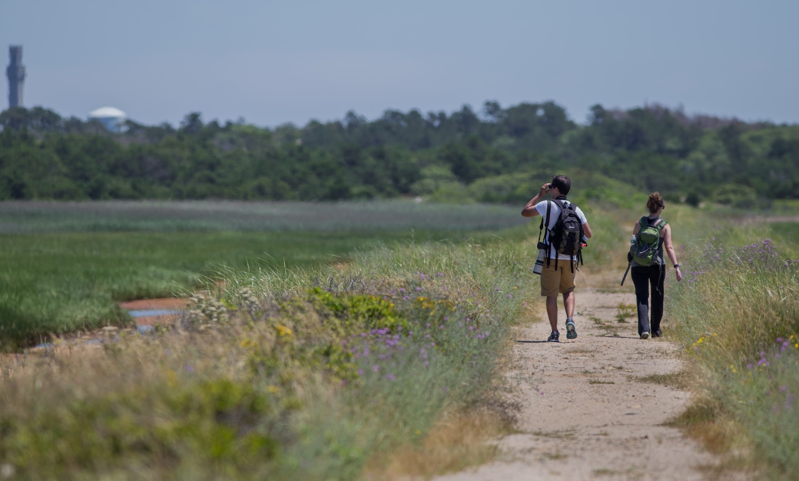 Hike the Great Island Trail on Cape Cod.