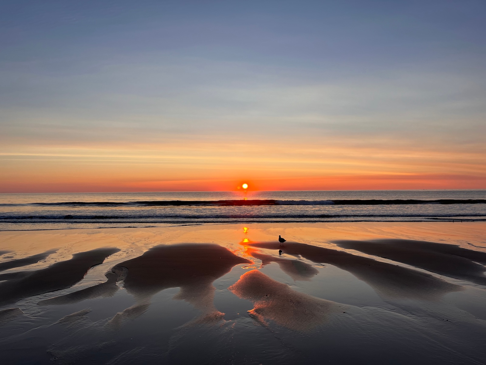 beautiful sunset on the beach, such as at Monomoy National Wildlife Refuge