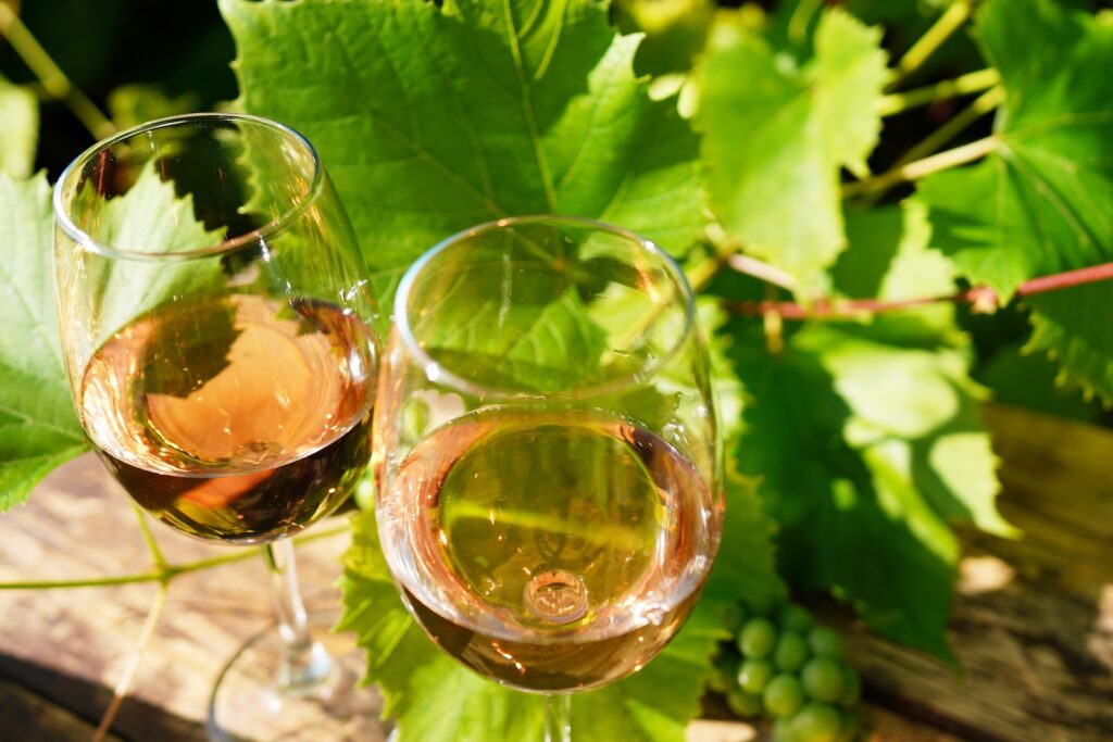 Two glasses filled with rose wine sit on wooden table among green leaves and grapevines at Cape Cod Winery.